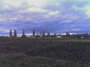 selo
