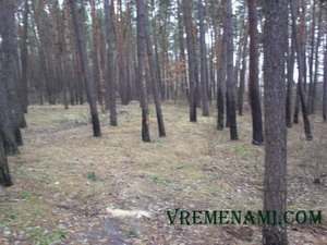 место активного отдыха