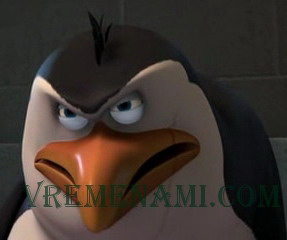 penguin-vremenami