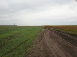 doroga-otdyhu