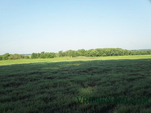 городище