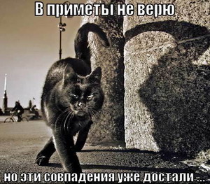 совпадения