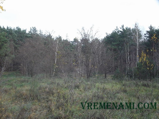 поздняя осень