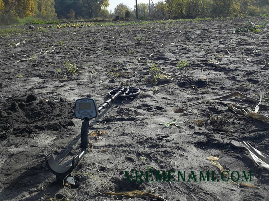 поиск АКА Беркут-5 на огороде