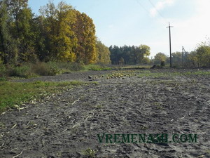 поиск монет на огороде 2013 году