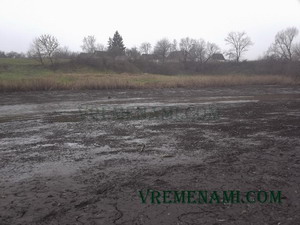 речные илистые берега
