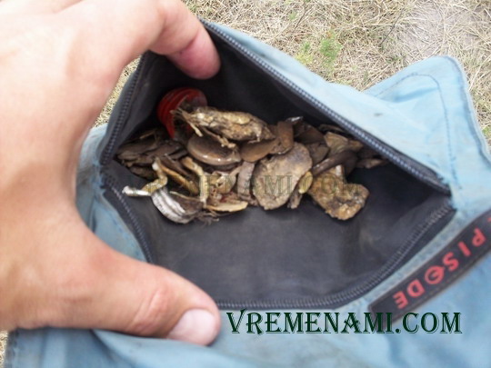 карман для найденного с металлоискателем мусора