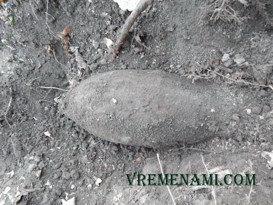 отрытая авиабомба в лесу