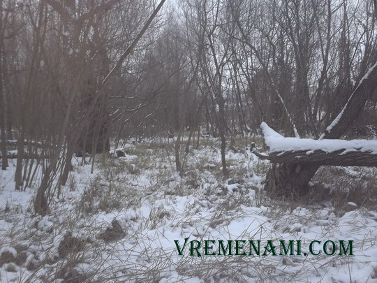 заводь место копа