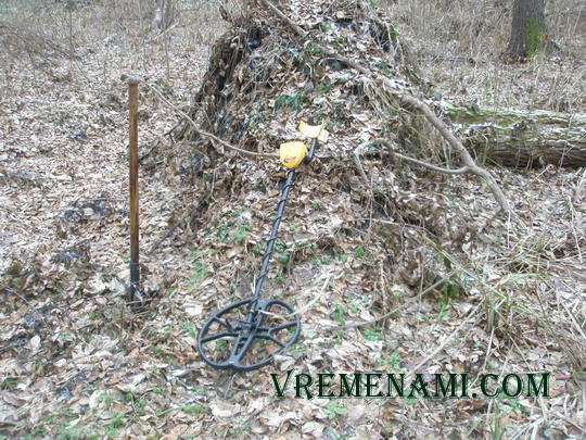 одно из павших деревьев на болоте