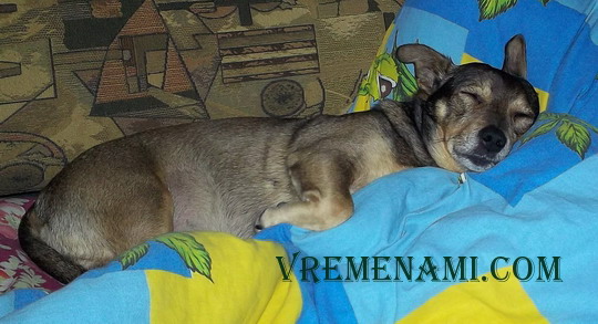 любимое занятие в непогоду