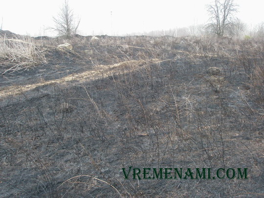 следующее место