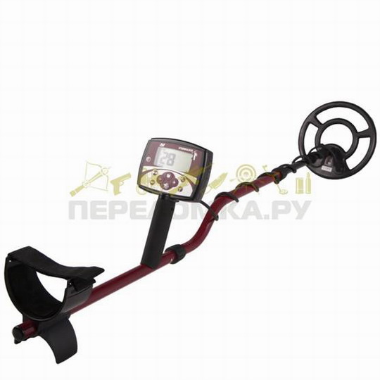 minelab x-terra 305