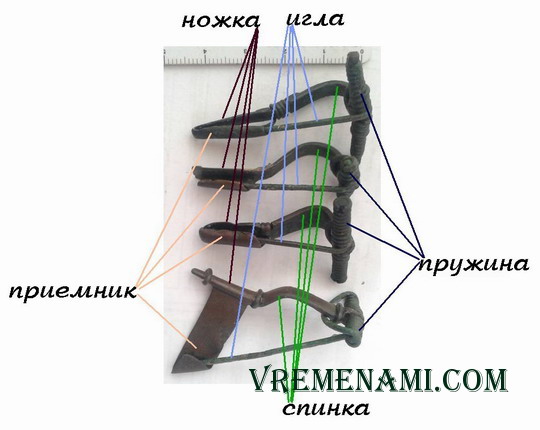 строение фибул