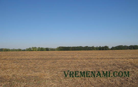 поле
