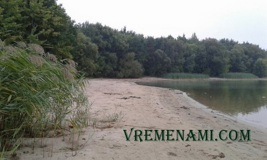 берег водохранилища