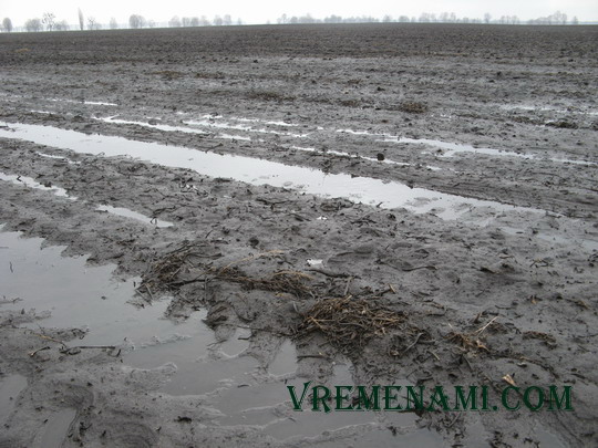 весной посреди поля