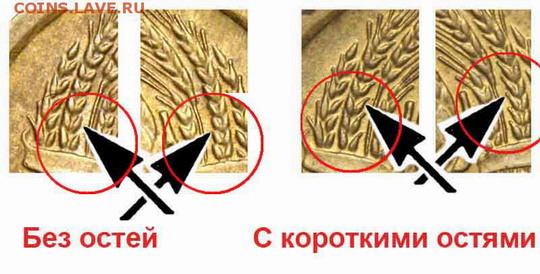 схема колосьев с и без остей